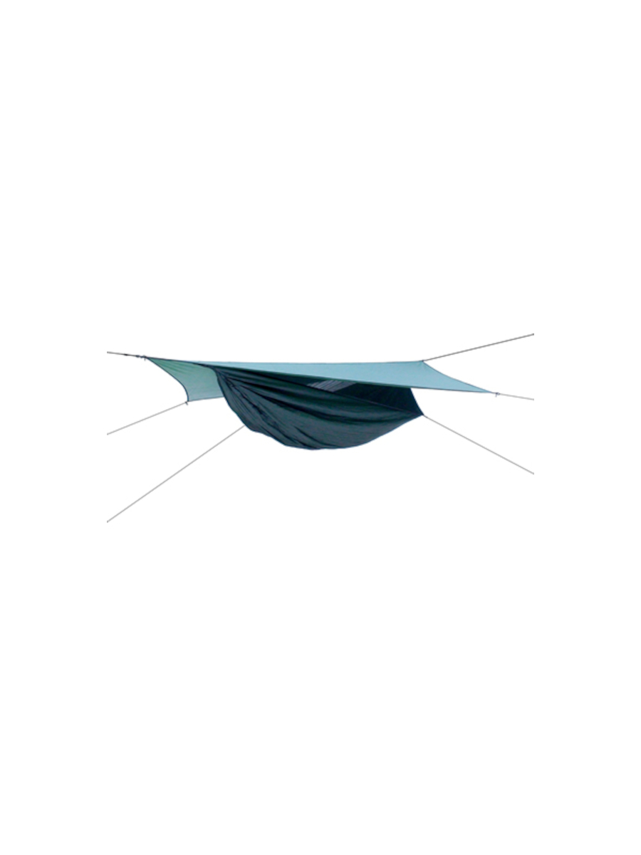 Hennessy hammock cheap expedition asym